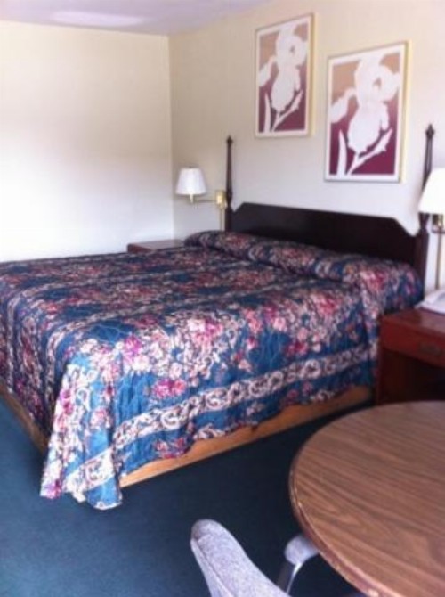 Gold Inn - image 3
