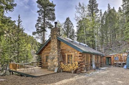 Idaho Springs Cabin - Walk to Chicago Creek!