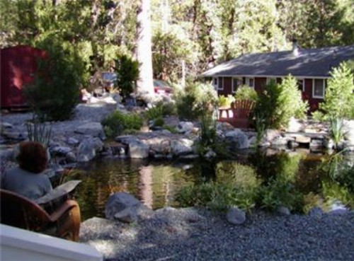 Silver Pines Lodge - image 3