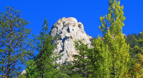 Always Inn Idyllwild Vacation Cottages - image 3