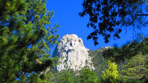 Always Inn Idyllwild Vacation Cottages - image 7