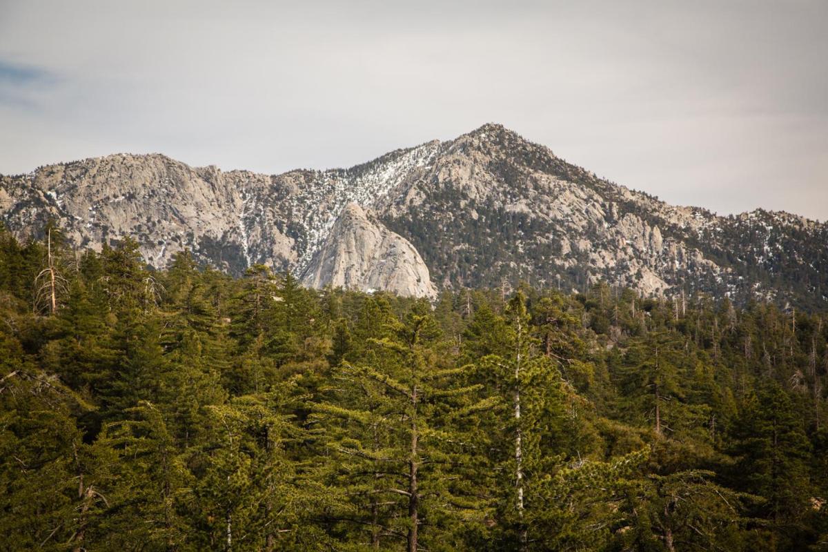 Idyllwild Camping Resort Cabin - image 7