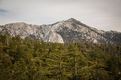 Idyllwild Camping Resort Cabin - image 17