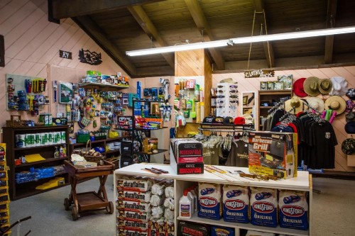 Idyllwild Camping Resort Cabin - image 2