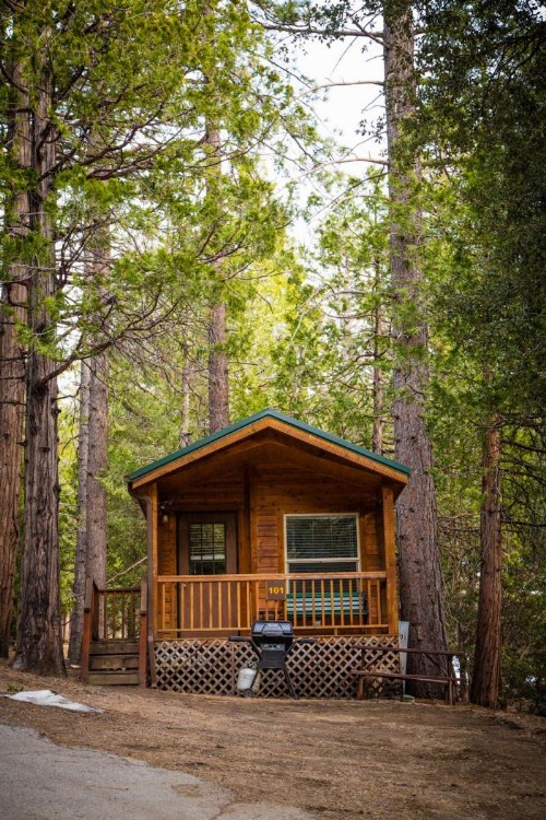 Idyllwild Camping Resort Cabin - image 3