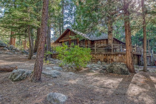 Twin Tree Lodge - image 9