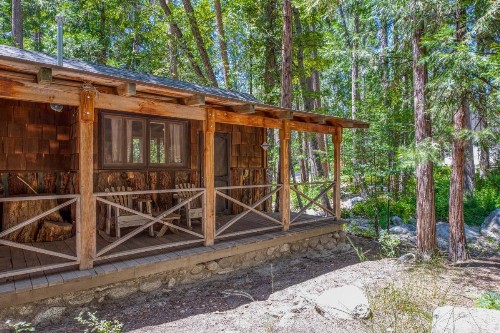 Twin Tree Cottage - image 6