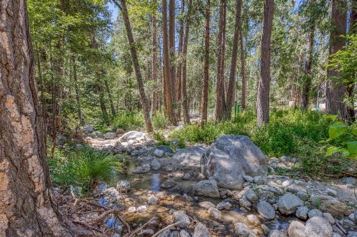 Twin Tree Cottage - image 7