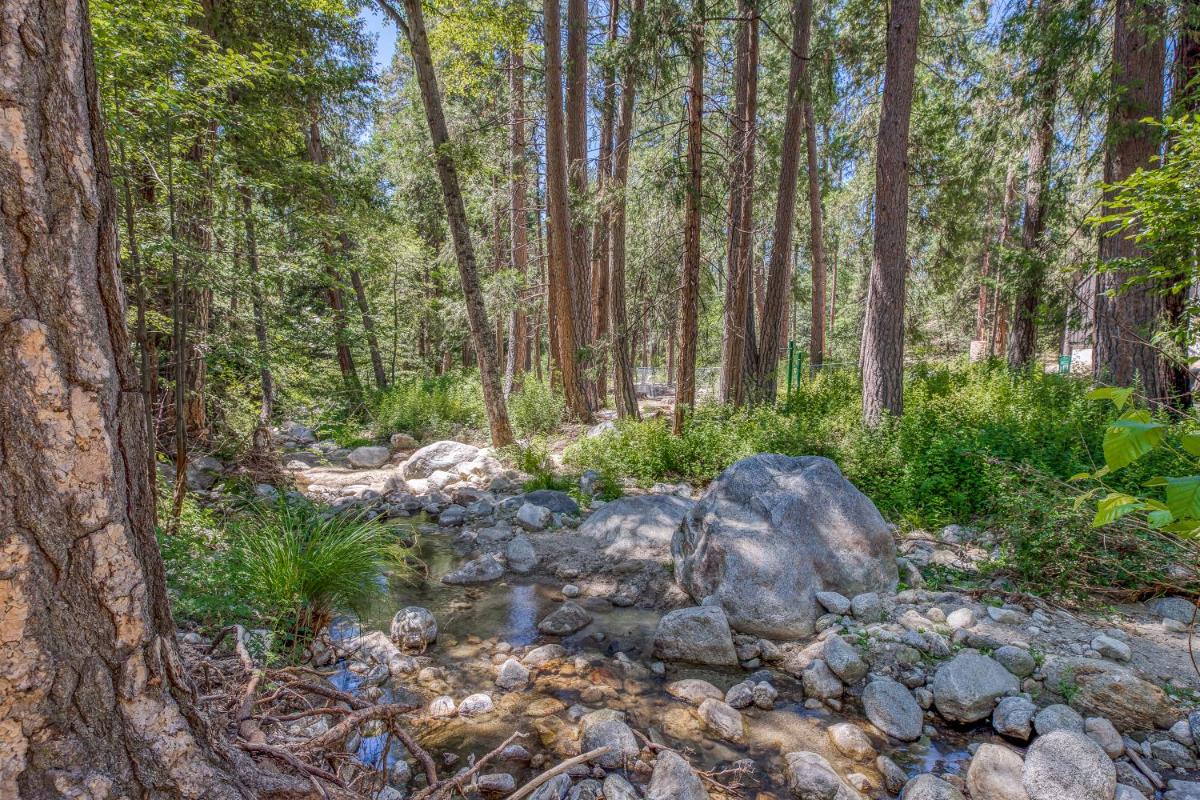 Twin Tree Cottage - image 7