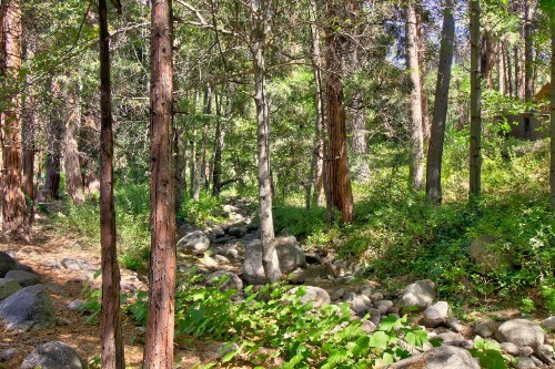 CastleBrooke - image 8