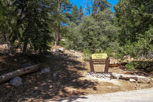 Walden in the Woods - image 10