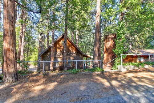 Walden in the Woods - image 12