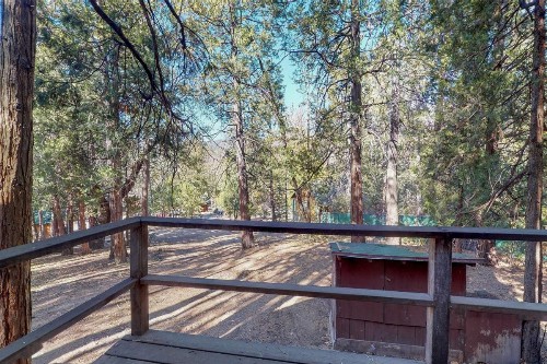 Walden in the Woods - image 6