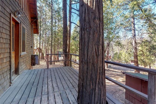 Walden in the Woods - image 8