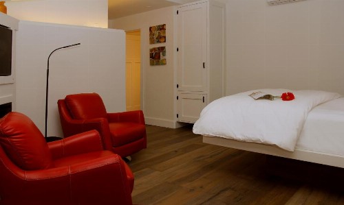 The Grand Idyllwild Lodge - image 22
