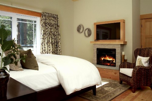 The Grand Idyllwild Lodge - image 30