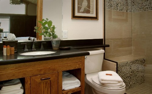 The Grand Idyllwild Lodge - image 38