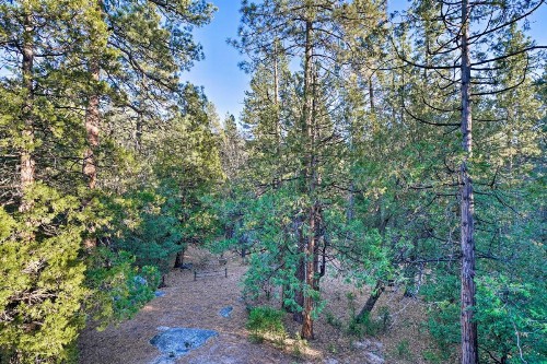 Cozy Idyllwild Cabin with Decks - Steps from Hiking! - image 9