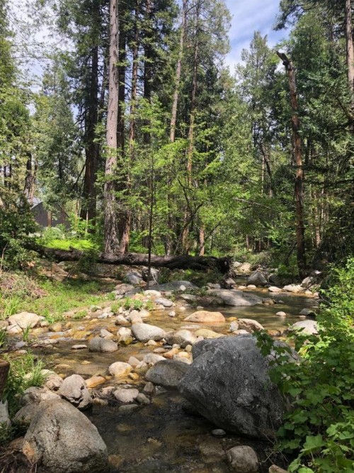 Almost Heaven: Hot Tub On the Creek Walk to Town