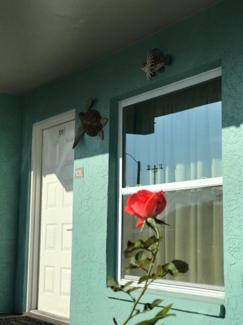 Immokalee Inn - image 24