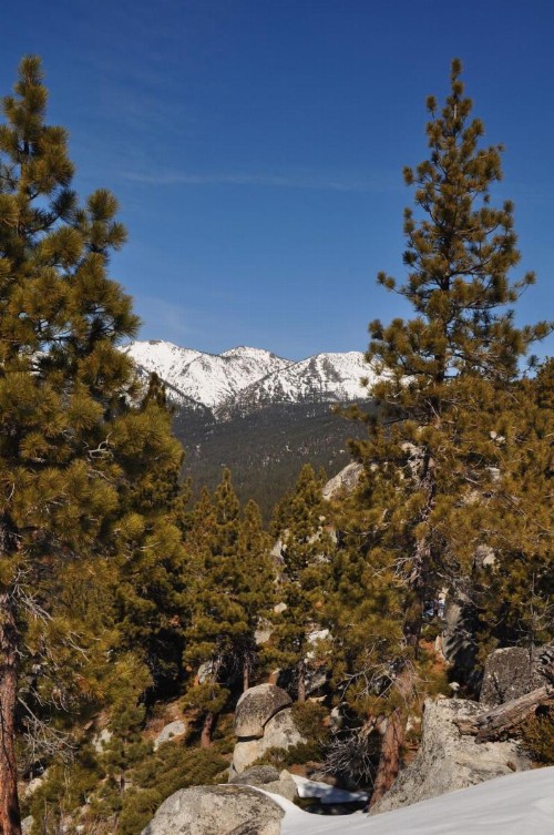 North Lake Lodges & Villas - image 36