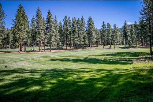 Fairway Park Cabin - image 9