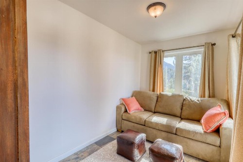 Diamond Peak Nest - image 7