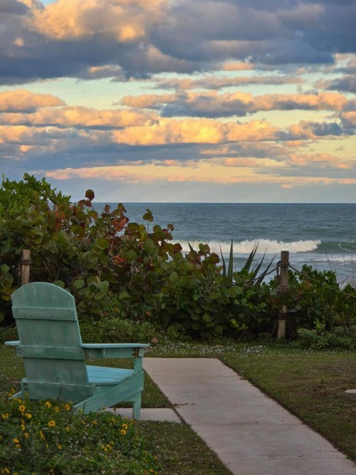 Oceanfront Sea Scape Motel - image 3