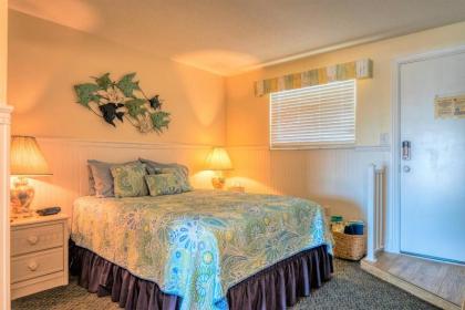 Tipsy Turtle oceanfront 1 bedroom condo - image 2