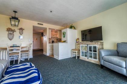 Tipsy Turtle oceanfront 1 bedroom condo - image 8