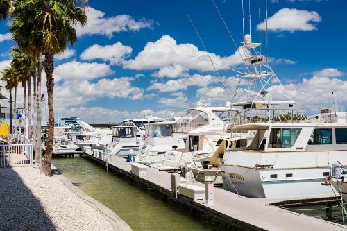 Holiday Inn Hotel & Suites Clearwater Beach South Harbourside an IHG Hotel - image 16