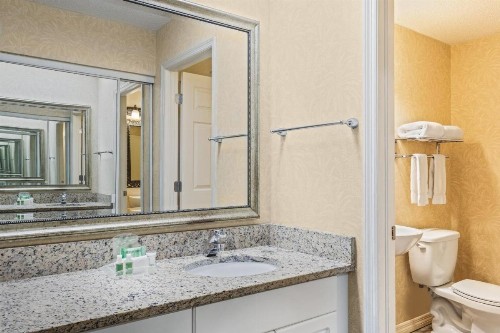 Holiday Inn Hotel & Suites Clearwater Beach South Harbourside an IHG Hotel - image 24