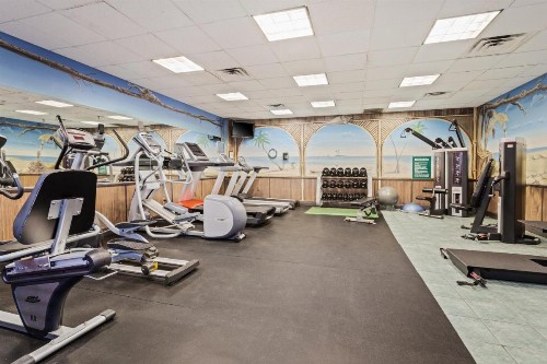 Holiday Inn Hotel & Suites Clearwater Beach South Harbourside an IHG Hotel - image 25