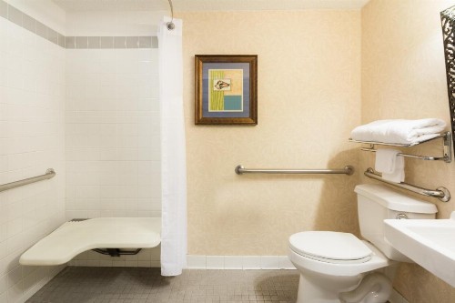 Holiday Inn Hotel & Suites Clearwater Beach South Harbourside an IHG Hotel - image 26