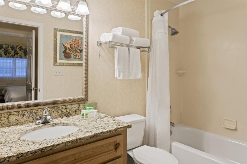 Holiday Inn Hotel & Suites Clearwater Beach South Harbourside an IHG Hotel - image 27