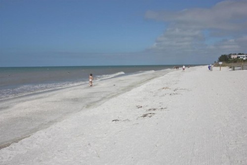 Sea Isles #M - image 3