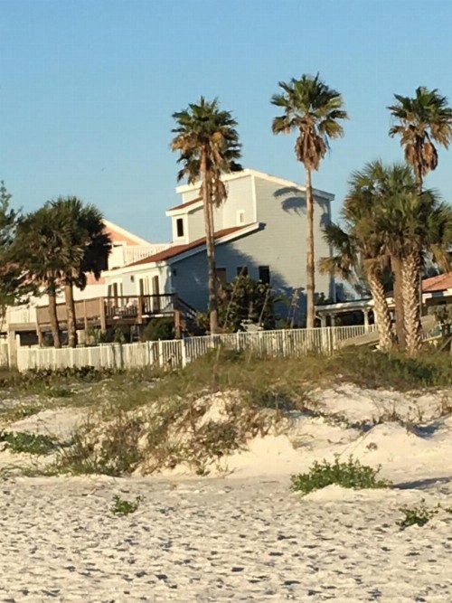 Beach House - image 20