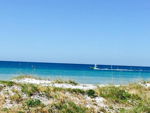 Beach House - image 22