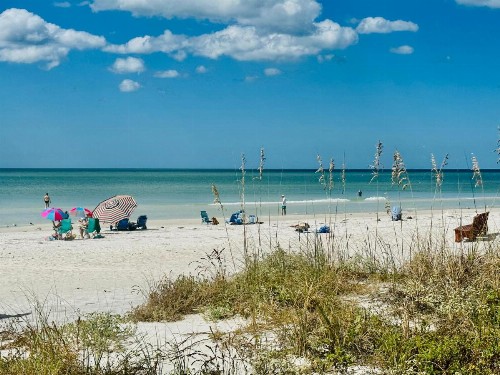 Beach House - image 8