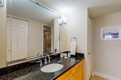 Beach Palms 309 - image 10