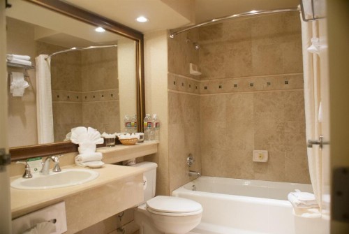 Indian Wells Resort Hotel - image 8