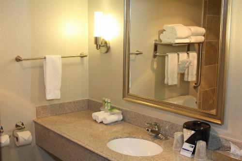 Holiday Inn Express Hotel & Suites Indianapolis W - Airport Area an IHG Hotel - image 7