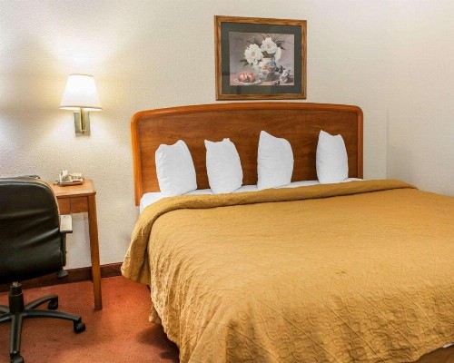 Quality Inn South - image 12