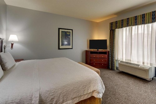 Hampton Inn & Suites Indianapolis-Airport - image 45