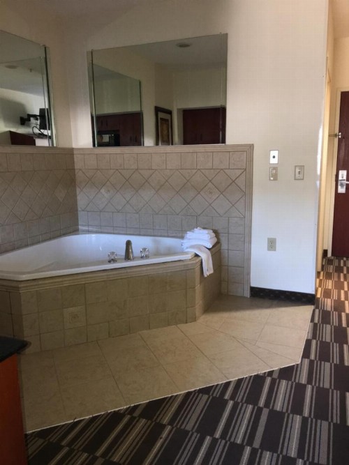 Microtel Inn & Suites by Wyndham Indianapolis Airport - image 11