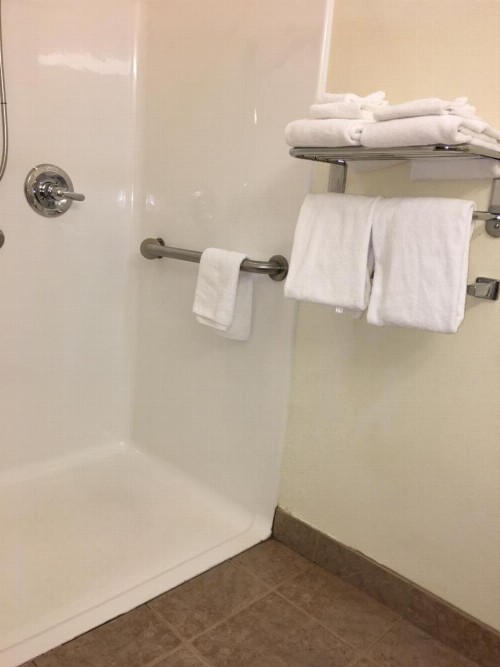 Microtel Inn & Suites by Wyndham Indianapolis Airport - image 14