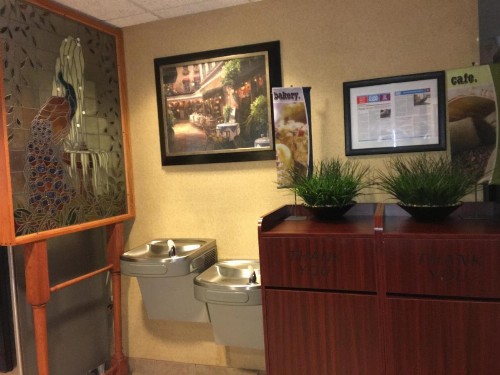 Microtel Inn & Suites by Wyndham Indianapolis Airport - image 2