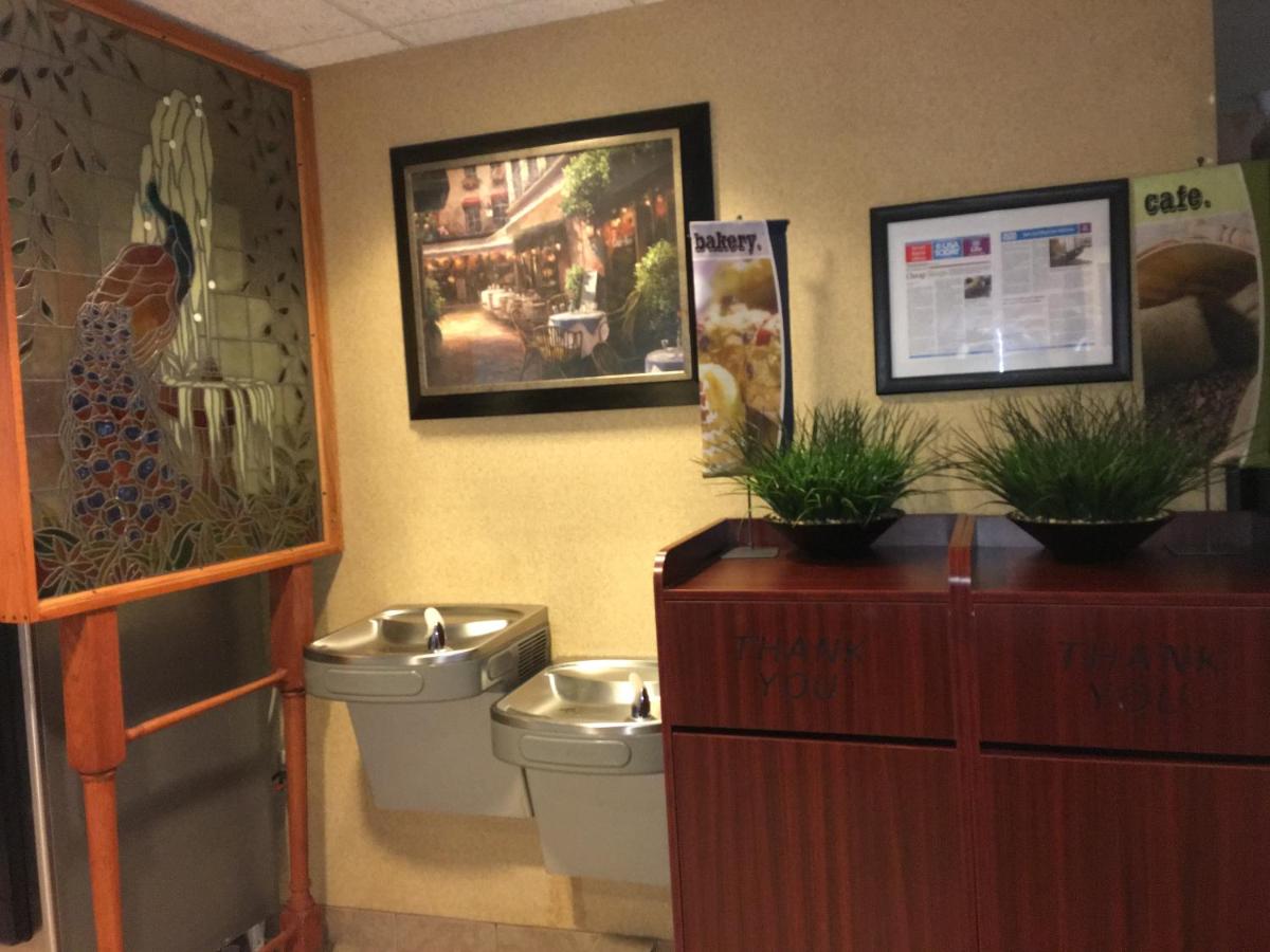 Microtel Inn & Suites by Wyndham Indianapolis Airport - image 2