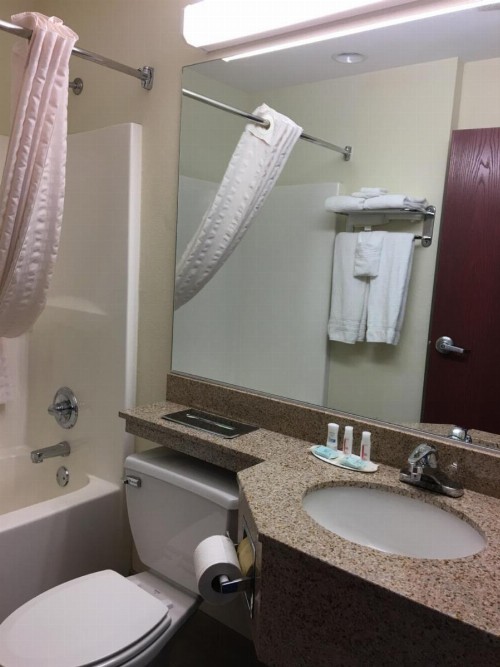 Microtel Inn & Suites by Wyndham Indianapolis Airport - image 24
