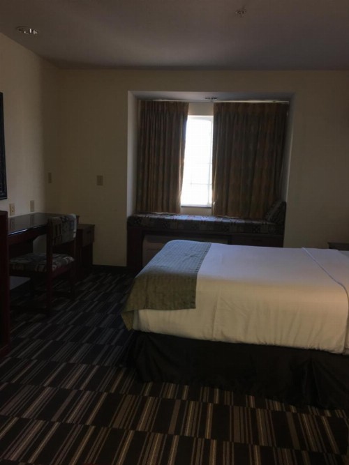Microtel Inn & Suites by Wyndham Indianapolis Airport - image 3